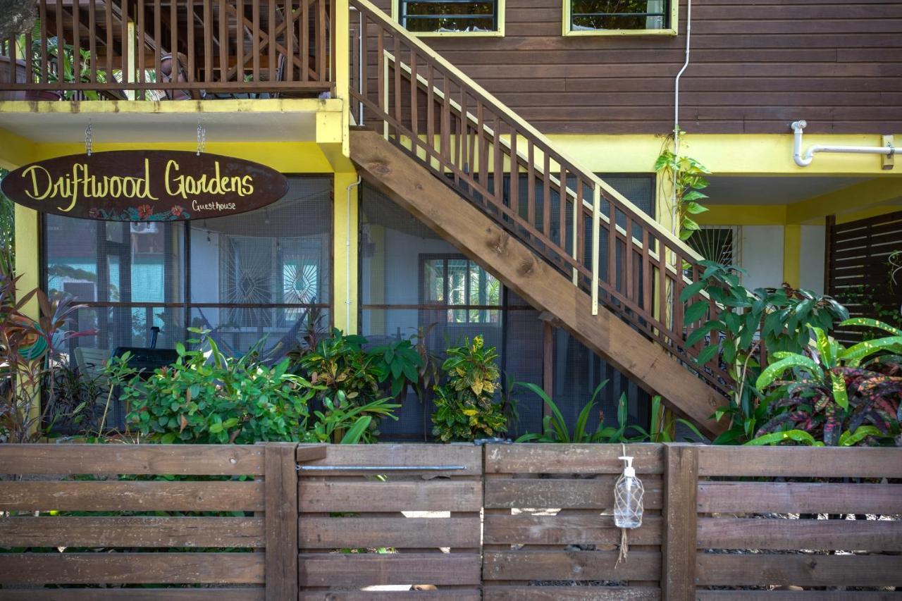 Driftwood Gardens Guesthouse Placencia Eksteriør bilde