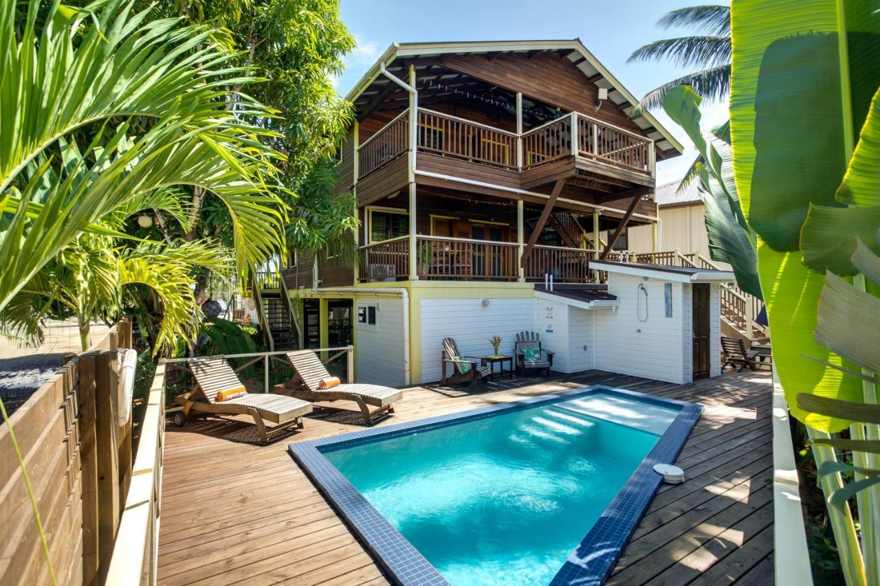 Driftwood Gardens Guesthouse Placencia Eksteriør bilde
