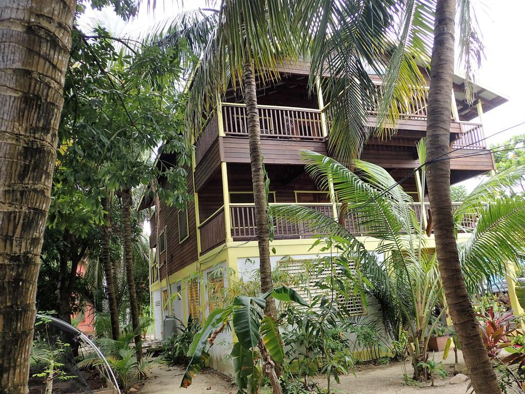 Driftwood Gardens Guesthouse Placencia Eksteriør bilde